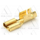 Anyasaru, 6,3x0,8mm, 2.5-6.0mm2 Anyasaru, 6,3x0,8mm, 2.5-6.0mm2-0
